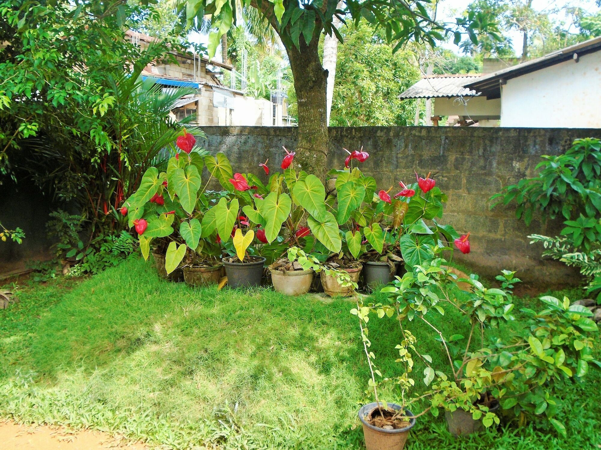 Ceylon Hostel-Galle أونا واتونا المظهر الخارجي الصورة